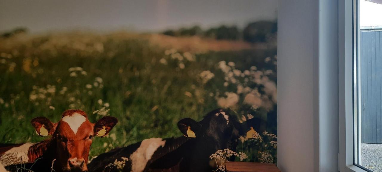 La Vache Au Lit Villa Damme Exteriör bild
