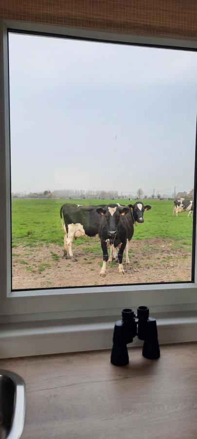 La Vache Au Lit Villa Damme Exteriör bild
