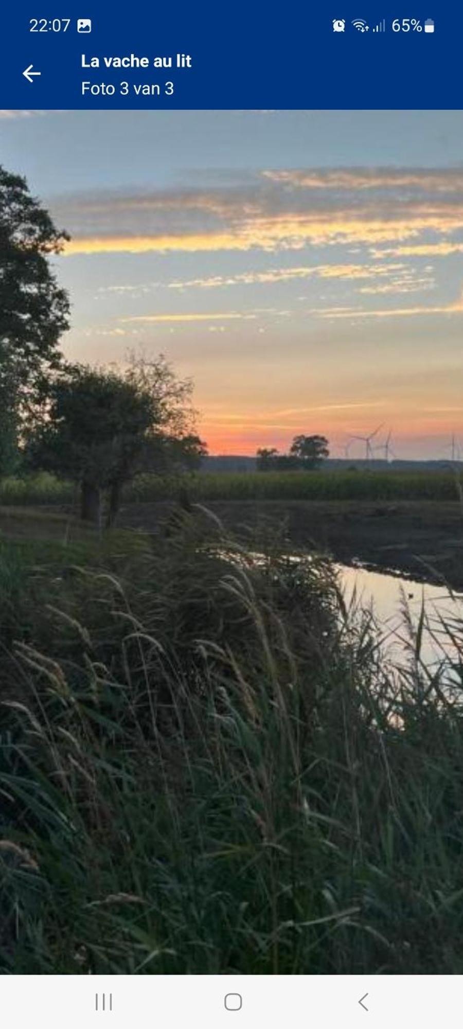 La Vache Au Lit Villa Damme Exteriör bild